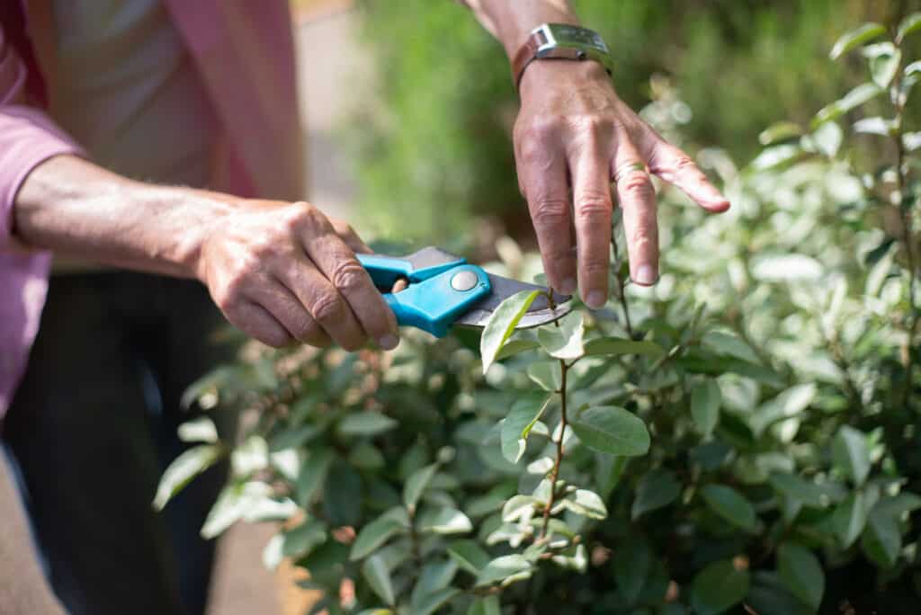 effectief tuinieren