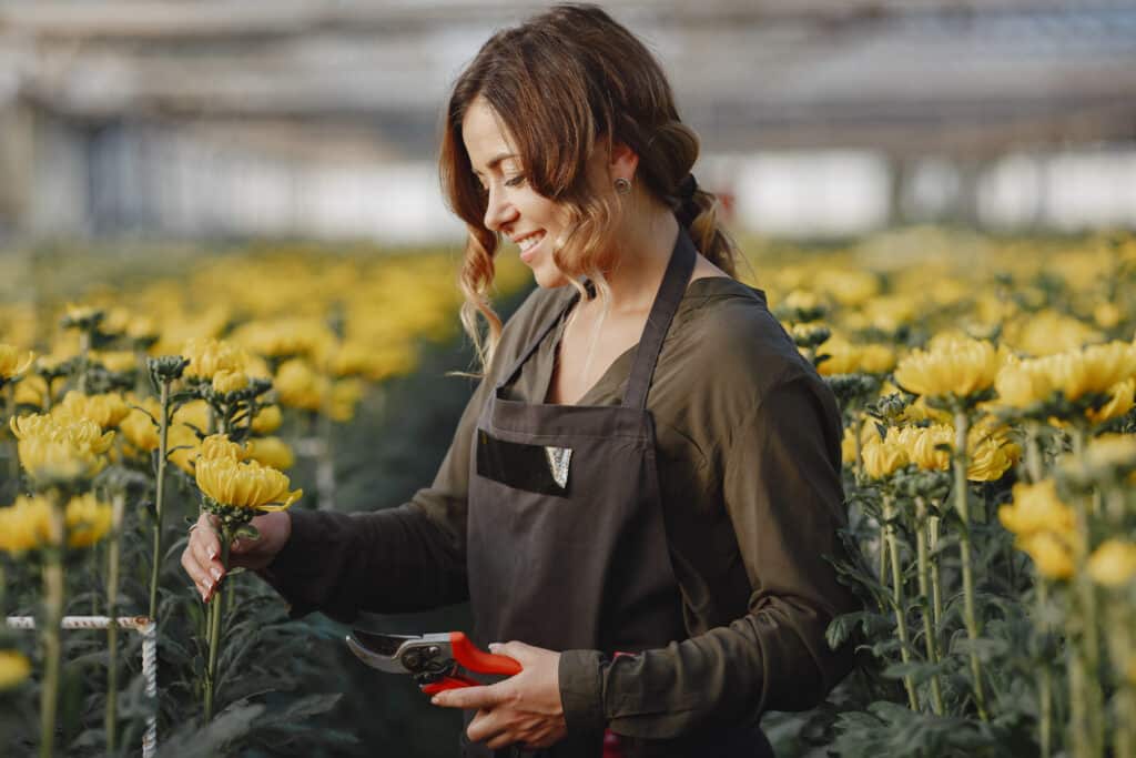 planten worden ingedeeld