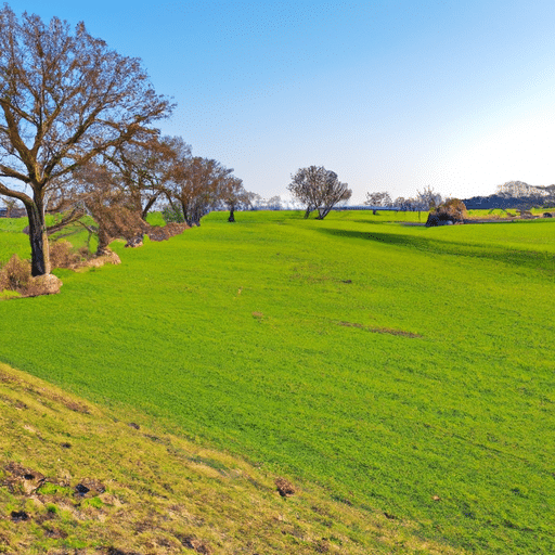 Groene els,Berg els snoeien