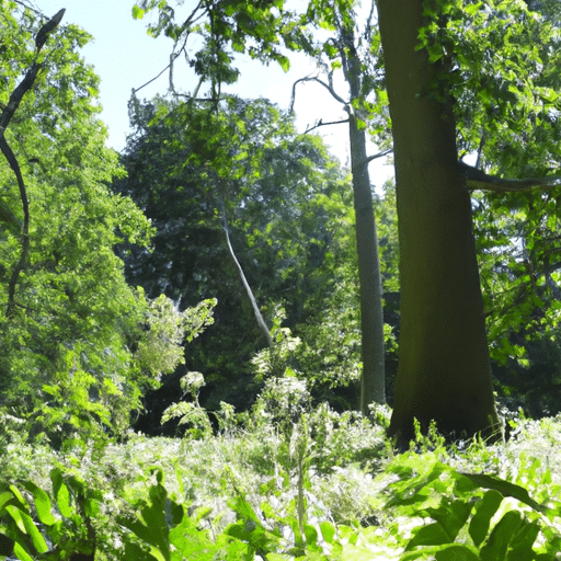 Hoefijzervaren snoeien