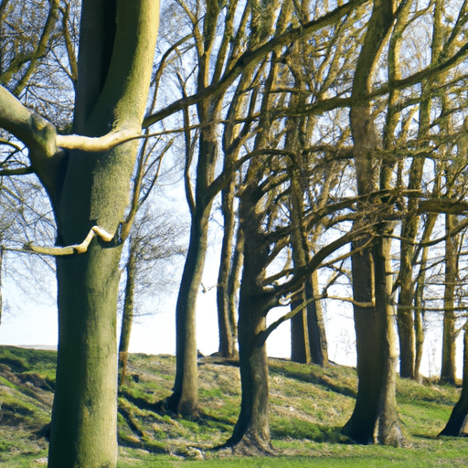 Zevenblad snoeien